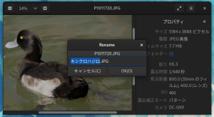 eog/eogp.png